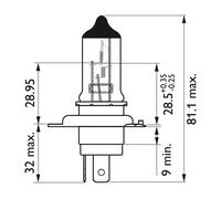 Lampadina per faro anteriore philips cityvision moto hs1