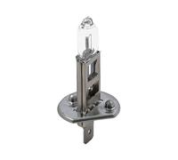 Lampadina per lampada frontale Philips LongLife Ecovision H1