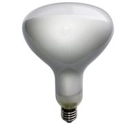 Lampadina per Parentesi di Flos 12W Dimmerabile 2700K E.27 Marino Cristal 21664 [EEK: A+++]