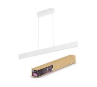 Philips Hue White and Color ambiance Ensis Lampada Smartrio Smart Bianca