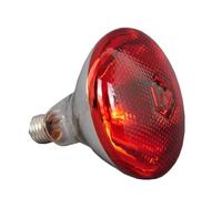 Lampadina Riscaldante For Pollame 240V E27 245/200/150/100W Riscaldamento Isolante A Infrarossi For Rettili Piante Anfibi Animali Domestici Bestiame Mantieni Il Cibo Fresco(200W)