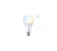 LAMPADINA SMART PHILIPS SMART LED A67, 1521 LM
