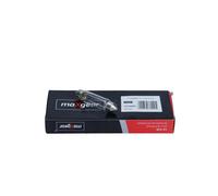 Lampadina targa SV8.5-8 78-0182SET MAXGEAR