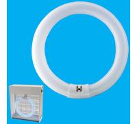 Lampadina Zapper Insetticida Ultravioletta Tonda UV 22W Nera BL368