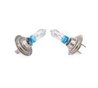Lampadine effetto Xenon H7 PX26d 55W 12 Volt