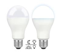 Lampadine LED Crepuscolare da Esterno 12W Luce Fredda 6000K, 1200LM, Auto On/Off, Equivalent E27 100W, AC 230V, Lampadina Crepuscolare E27 Globo con Sensore per Plafoniere da Portico, set di 2