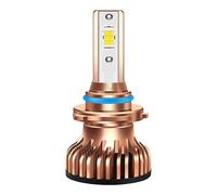 Lampadine per fari automobilistici - Faro LED più luminoso - Antiriflesso, impermeabile, abbagliante per camion, SUV, donne e uomini
