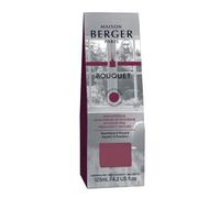 LAMPE BERGER Bouquet Glacon Anti Odore Chiuso