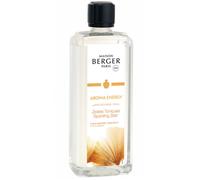 MAISON BERGER Duft Energy Dynamisierende Zitrusschalen Profumo per Ambienti, Zestes Toniques/scorze di agrumi dinamizzanti, 1 l (1er Pack), 1000 unità