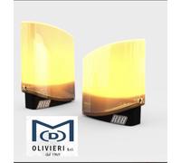 RIB SAIL 24V 220V LAMPEGGIANTE A LED CANCELLO AUTOMAZIONE CON ANTENNA