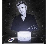 Lampephoto.fr - Lampada 3D Ligabu Decorazione Pop RocK. Idea Regalo Uomo Donna Oggetto Ligabu Luce Notturna Tattile, Adulto Decorazione Camera, Idea Regalo Natale Uomo Donna Originale, Led, Gadget