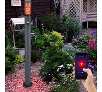 Lampione Esterni Lampada da Giardino Dimmerabile Smart LED Movimento Alexa [EEK: G]