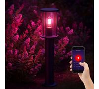 Lampione Giardino Außenstehlampe Smart LED Dimmerabile Cambio Colore Vocale App [EEK: F]