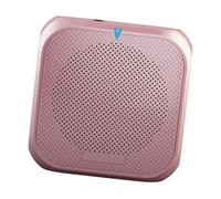 L'amplificatore audio Headwan My Cloud Altoparlanti per conferenze e tour fornisce doppia potenza e cuffie microfono amplificatore vocale portatile