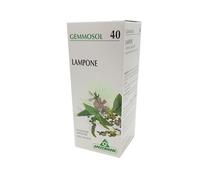 Lampone 1 DH Gemme 50ml