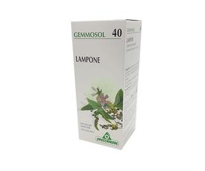 Lampone 1 DH Gemme 50ml