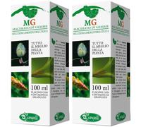 Lampone 100 Ml Gm 2x100 ml
