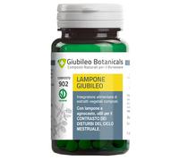 LAMPONE GIUBILEO 30CPS