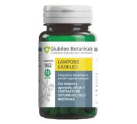 Lampone Giubileo 30cps