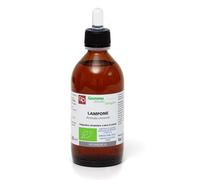 Fitomedical LAMPONE MACERATO GLICERINATO BIO 200 ML