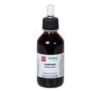 Fitomedical Lampone Macerato Glicerico 100 Ml