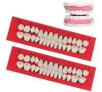 Lamppdcor Denti Falsi 2 Kit di Riparazione del Dente Set 56 PC in Resina Denti Falsi impostati per Uso temporaneo Facile Denti Falsi a Scatto includono zanne, Denti di Tigre e incisivi per l'insegnam