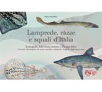 Lamprede, razze e squali d'Italia. Iconografia della fauna marina e d'acqu...