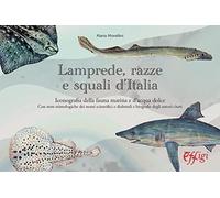 Lamprede, razze e squali d'Italia. Iconografia della fauna marina e d'acqua dolce