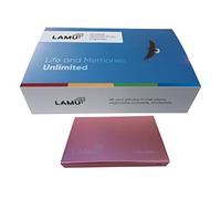 LAMU - Organizer portatile per foto, 500 GB, colore: Oro rosa