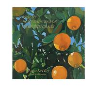 - Lana Del Rey - Violet Bent Backwards Over The Grass - CD