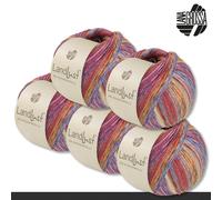 LANA GROSSA 5x100 G Landlust Die Calzino Filato Seta Maglia Lana Seta 6 Colori