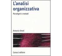 L'analisi organizzativa. Paradigmi e metodi