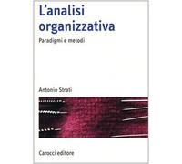 L'analisi organizzativa. Paradigmi e metodi