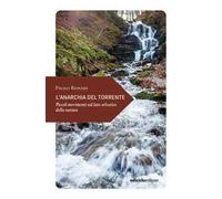 L'anarchia del torrente. Piccoli movimenti sul lato
