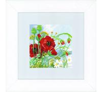 LANARTE 0146360 Papaveri Kit Ricamo Punto Croce Contato Etamine