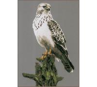 LANARTE Punto Croce Contato Falco Decorativi Set Fai da Te Creativo Adulti Ricamo Casa Decor Arte da Parete Kit per Hobby Cross Stitch, Multicolor, ca. 26 x 40 cm