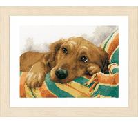 Lanarte "Little Rascal Kit Punto Croce, 100% Cotone, Multicolore, 20 x 1 x 26 cm