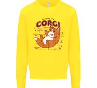 L'Anatomia Di Un Corgi Uomo Sweatshirt Jumper