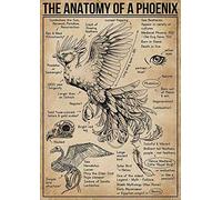L'anatomia di una fenice, cartelli in metallo, poster retrò, conoscenza della fenice, istruzione per bambini, guida alla divulgazione scientifica, casa, classe, ufficio, decorazione da parete, 8x12 p