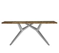 LaNatura Tables&CO Tavolo 220x100 legno antico colorato Metallo Argento