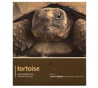 Lance Jepson Tortoise - Pet Expert (Tascabile) Pet Expert