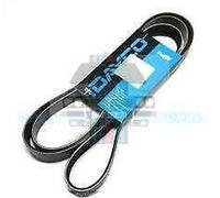 Lancia Delta Integrale E Evo 5 Cinghia Ausiliaria Ventola Alternatore AUX