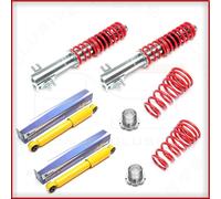 Lancia Ypsilon 843 2003-2010 KIt Assetto Regolabile Ghiera TA Ammortizzatori