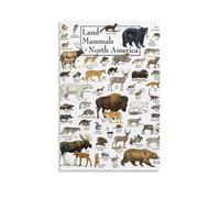 Land Mammals of North America, decorazione moderna per la casa, 60 x 90 cm