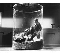 Land Of The Giants Televisione Foto Poster Stampa 24x20" Foto Stellare 178646