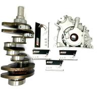 Land Rover Range 3.0 Per Albero Motore Con King Cuscinetti, Pompa Olio 306DT