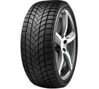 LANDSAIL - 165/70 R14 81T LANDSAIL WINTER LANDER