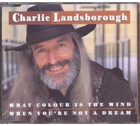 Landsborough, Charlie - What Colour is the Wind