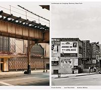 Landscape As Longing: Queens, New York: Landscape of Longing