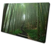 Landscapes Japanese Forest SINGLE TELA parete arte foto stampa